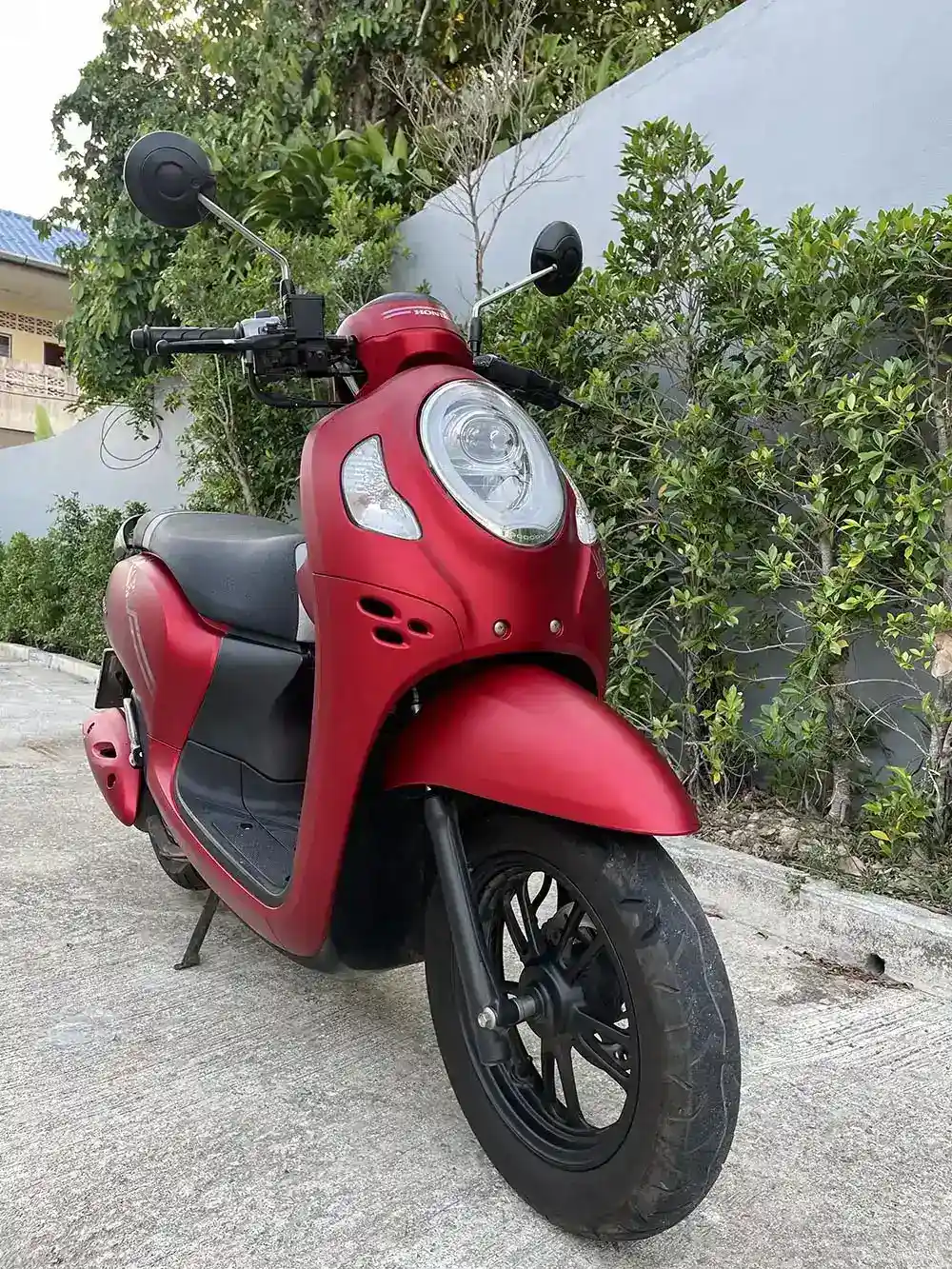 Honda Scoopy 110 — 3