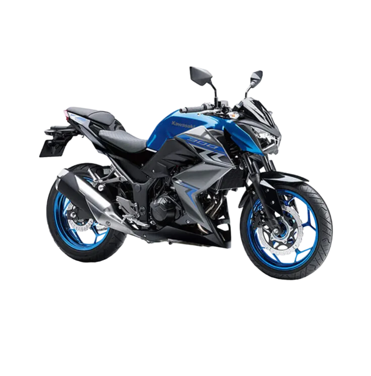 Kawasaki Z300 — 3